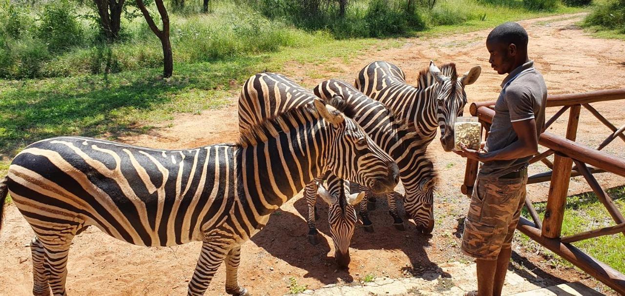Giraffe Plains Villa Marloth Park Exterior photo
