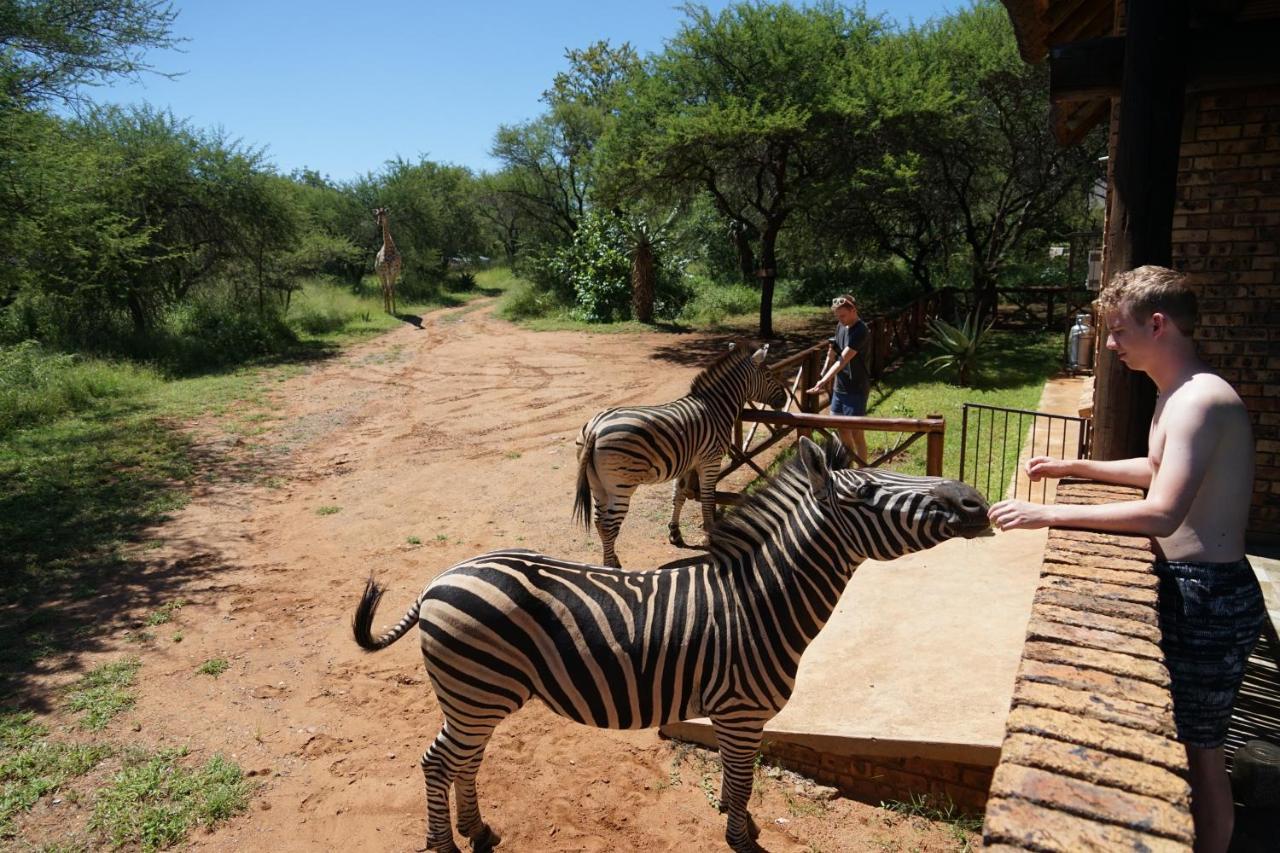 Giraffe Plains Villa Marloth Park Exterior photo