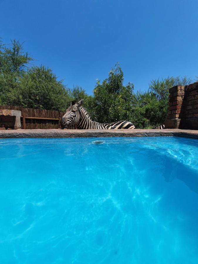 Giraffe Plains Villa Marloth Park Exterior photo