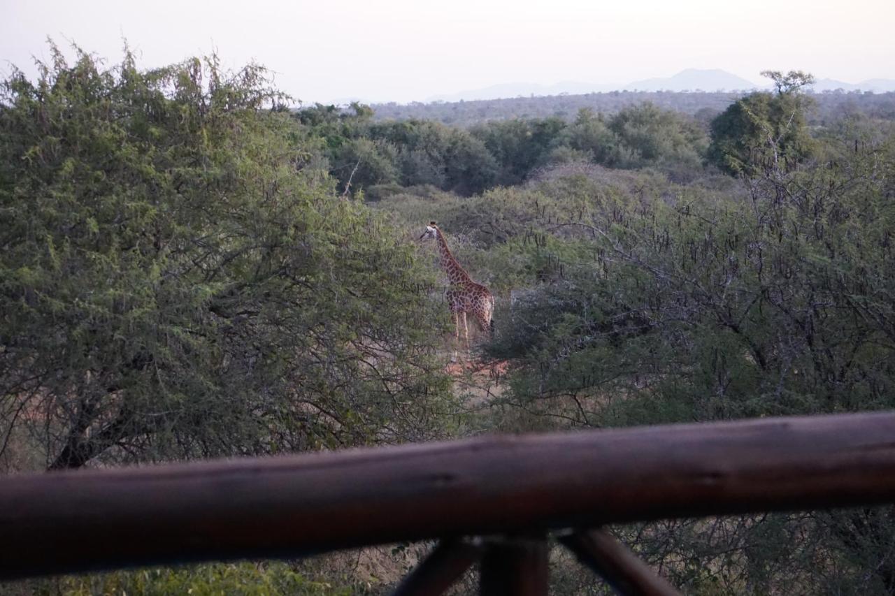 Giraffe Plains Villa Marloth Park Exterior photo