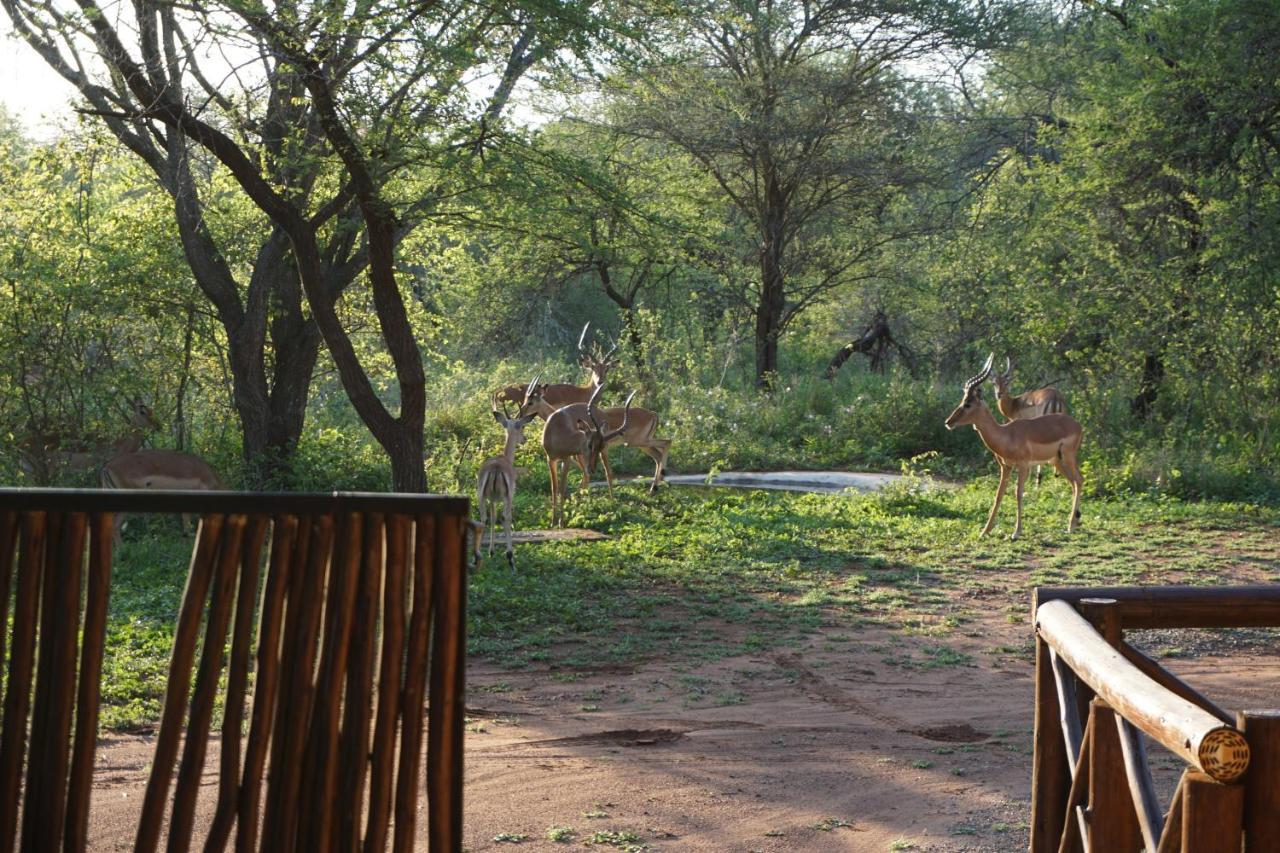 Giraffe Plains Villa Marloth Park Exterior photo
