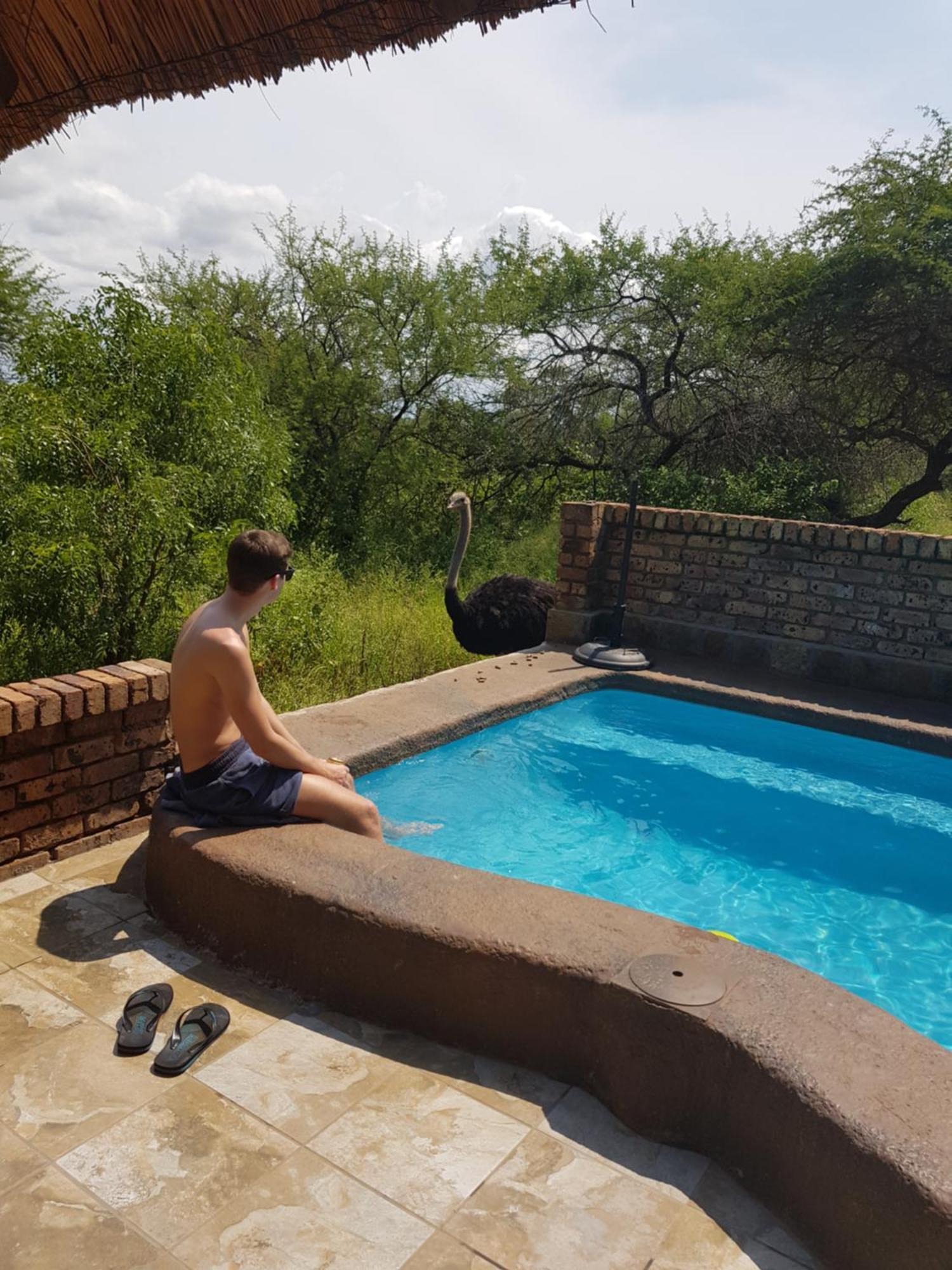Giraffe Plains Villa Marloth Park Exterior photo